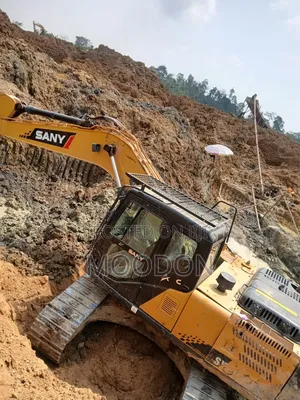 Excavators for Rent and Sale