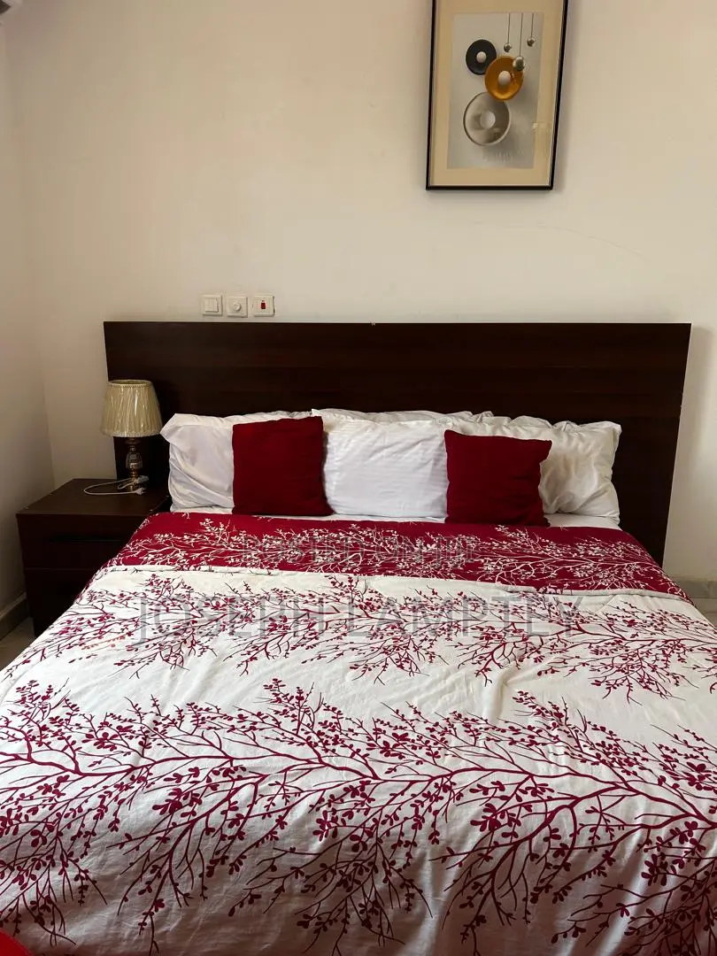 Furnished 2bdrm Apartment in Joseph Lamptey, American House for rent
