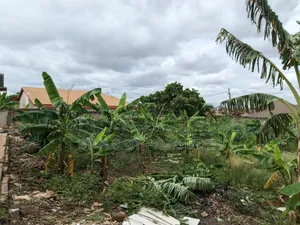 Plot for Sale at Afrancho 3rd Plot Main Highway ( Kronum)