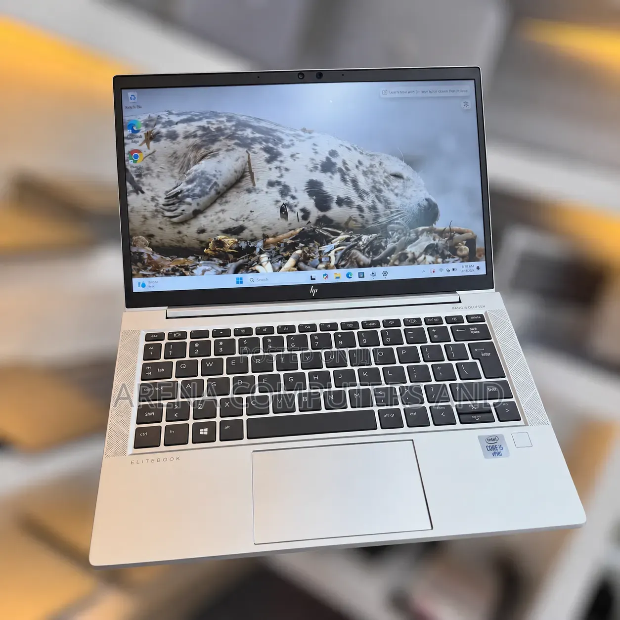 Laptop HP EliteBook 830 G7 8GB Intel Core i5 SSD 256GB