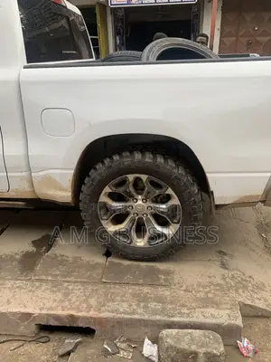 Fender Flares/Moulding