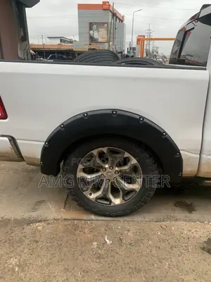 Fender Flares/Moulding