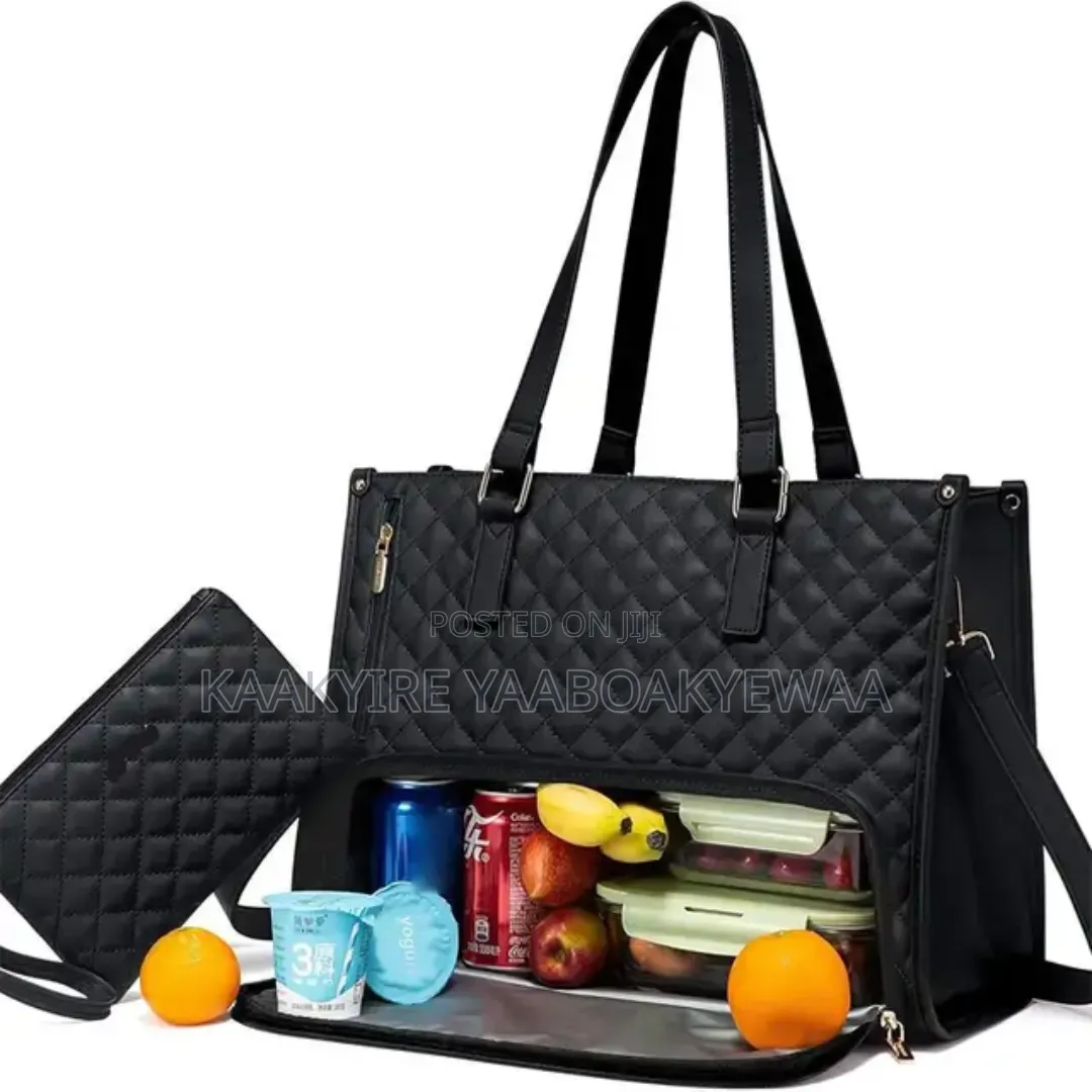 Ladies/Laptop Insulated Bag