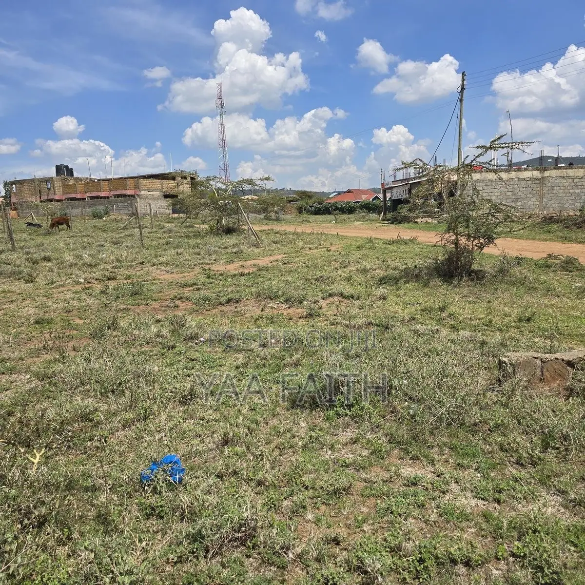 A Plot of Land for Sale