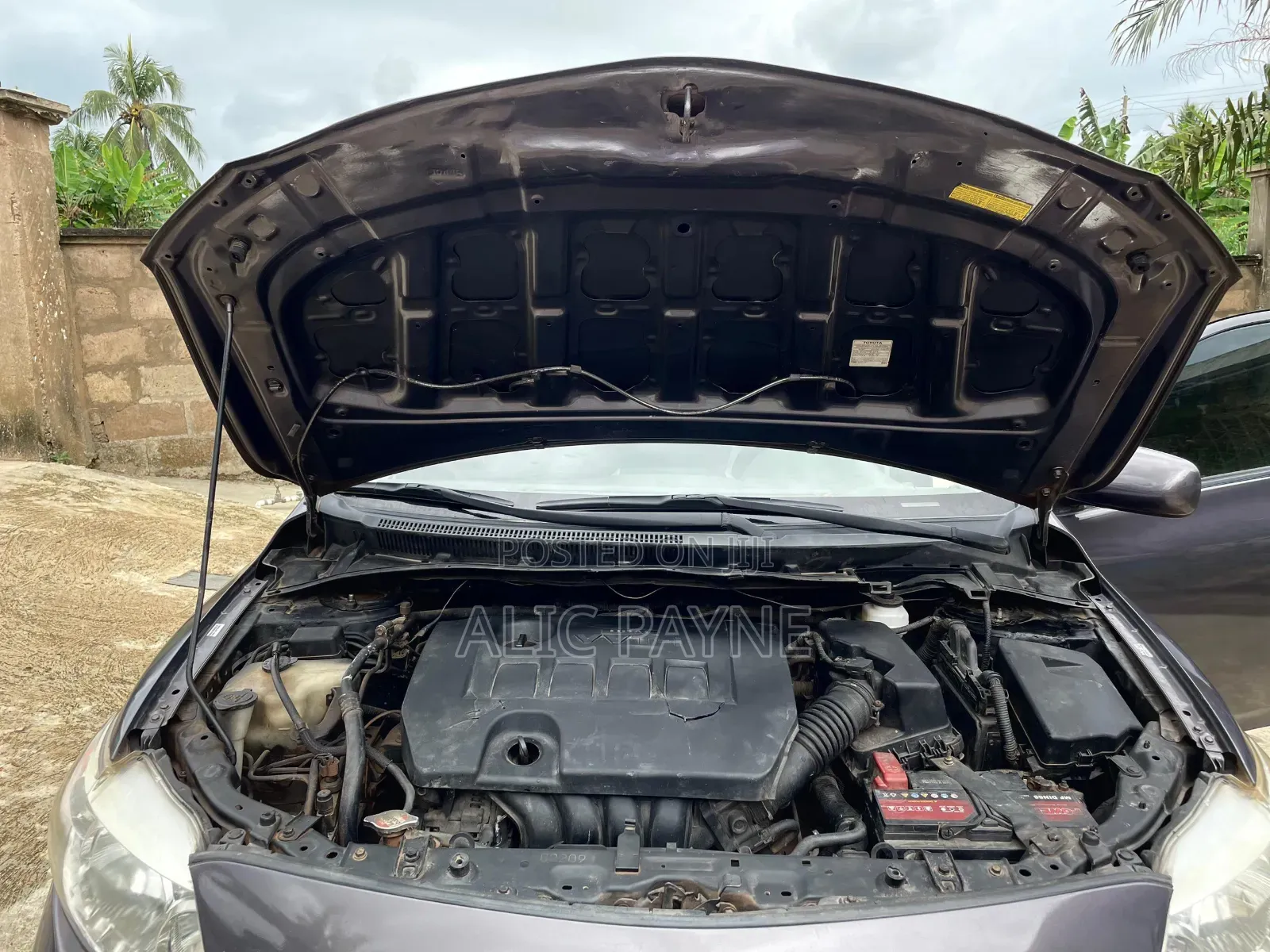 Toyota Corolla LE 4dr Sedan (1.8L 4cyl 4A) 2010 Gray