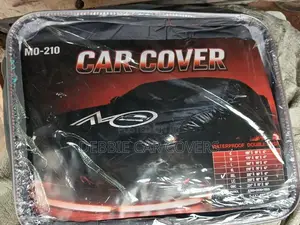 Debbie Car Over