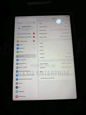 Apple iPad Pro 11 (2018) 256 GB Gray