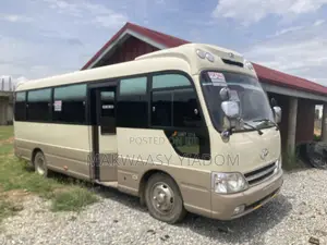 Hyundai County 2009 Yellow