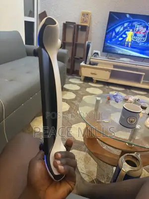 Play Station Portal