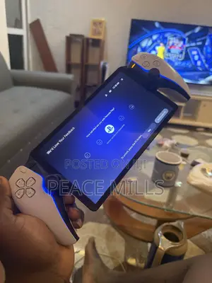 Play Station Portal
