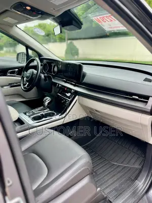 Kia Carnival 2023 Gray