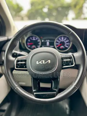 Kia Carnival 2023 Gray