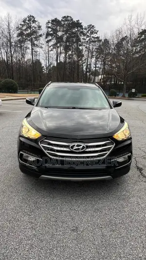 Hyundai Santa Fe 2017 Black