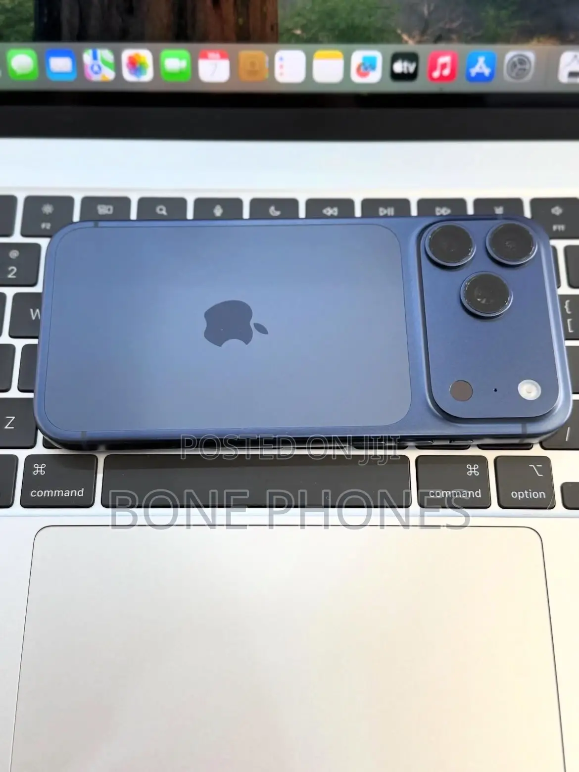 Apple iPhone 17 Pro Max 256 GB Blue