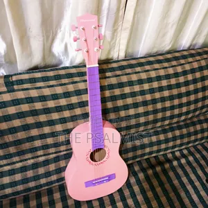 Burswood Jf-30p 1/2 Acoustic Guitar Pink Color
