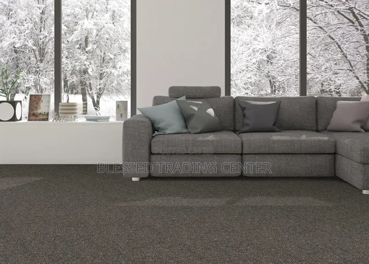 Living Room Carpet