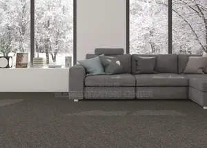 Living Room Carpet