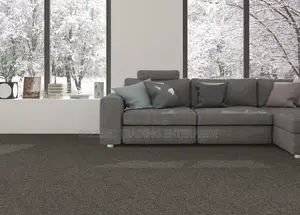 Living Room Carpet
