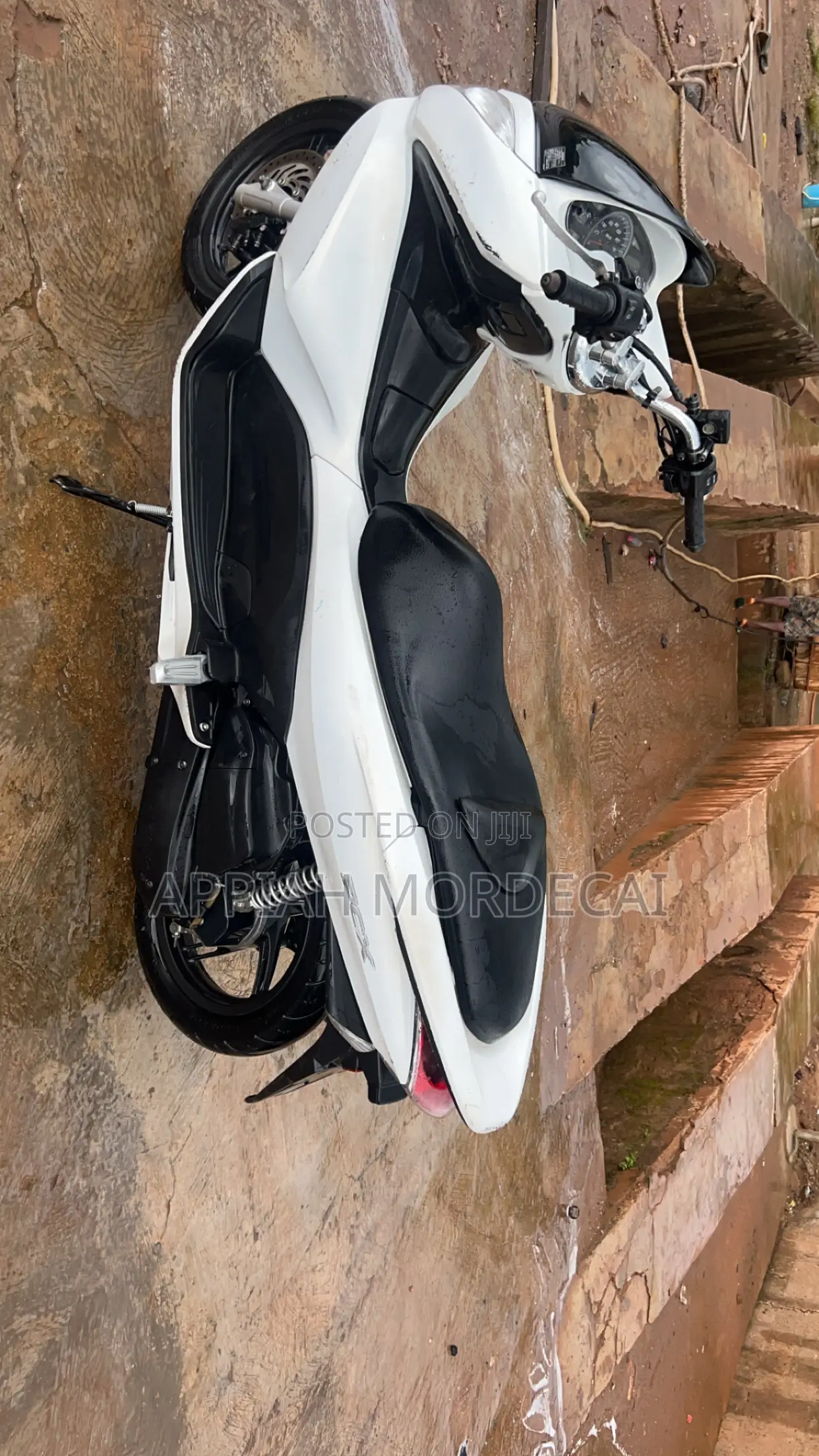 Honda 2022 White