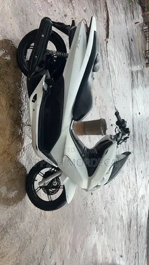 Honda 2022 White