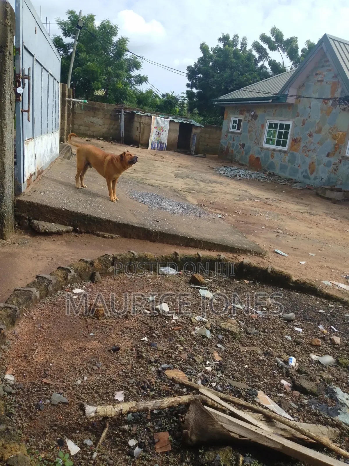 Furnished 4bdrm House in Theophilus, Awutu Senya East Municipal