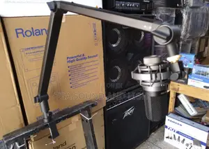 Boom Arm Microphone Stand [Heavy Duty]