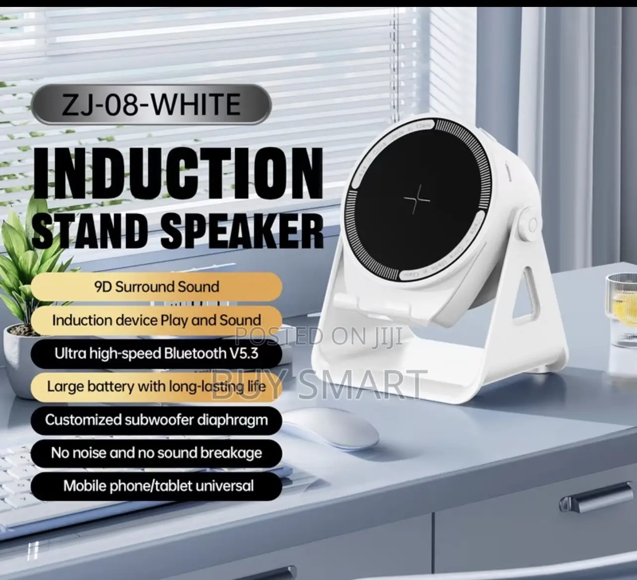 Wireless Induction Bluetooth Speaker