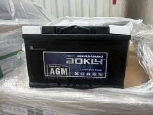 15 Plate Agm Battery