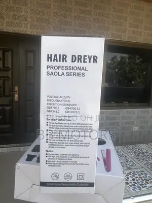 Ladies Hair Dryer