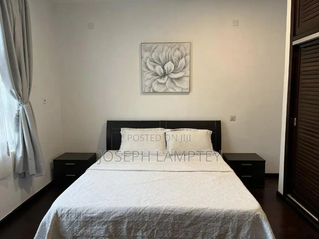 Furnished 2bdrm Apartment in Joseph Lamptey, Airport Residential Area