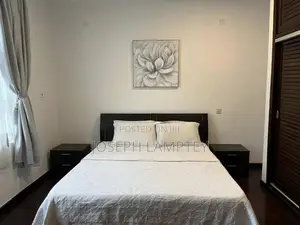 Furnished 2bdrm Apartment in Joseph Lamptey, Airport Residential Area
