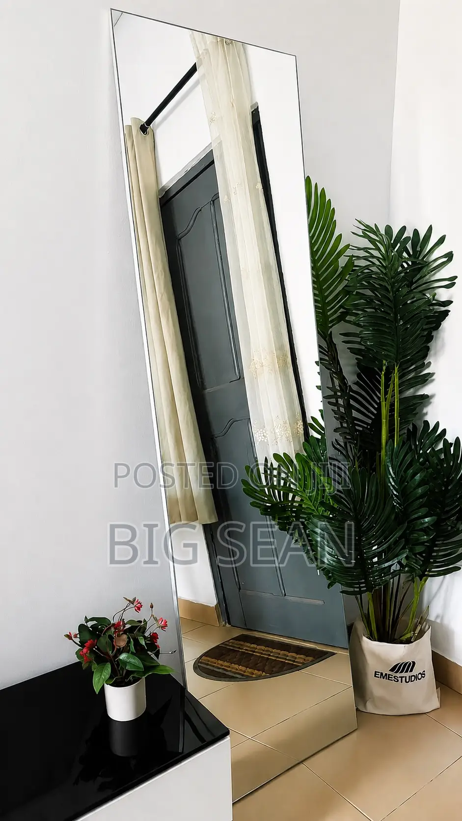 Standing Mirror