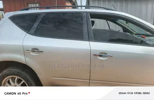 Nissan Murano 2005 Gray