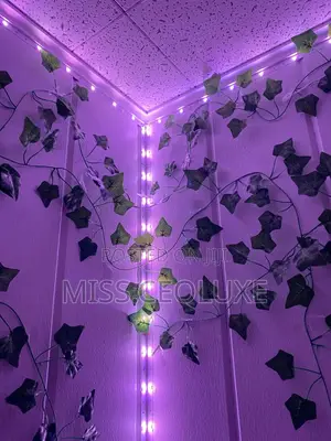 5m Led Strip Light