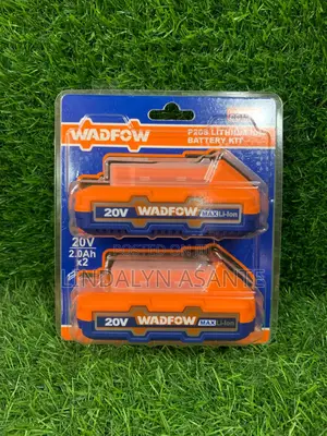 2 Pcs Battery 20v 2ah - Wos240682