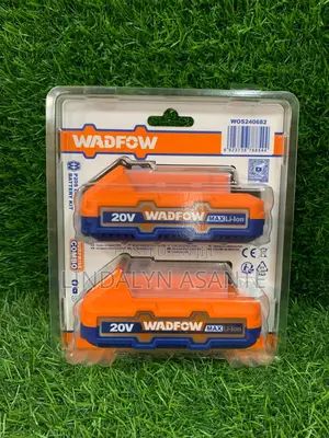 2 Pcs Battery 20v 2ah - Wos240682