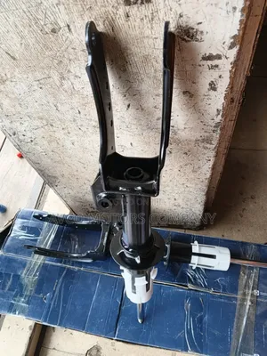 Audi Q7 and Touareg Front Shock From 2004 to 2010