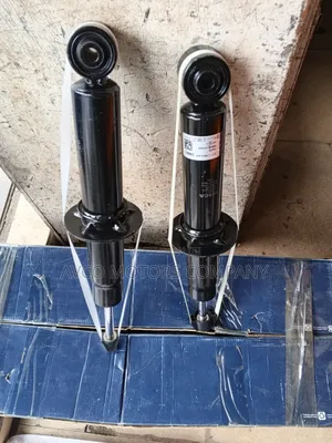 Audi Q7 and Touareg Back Shocks