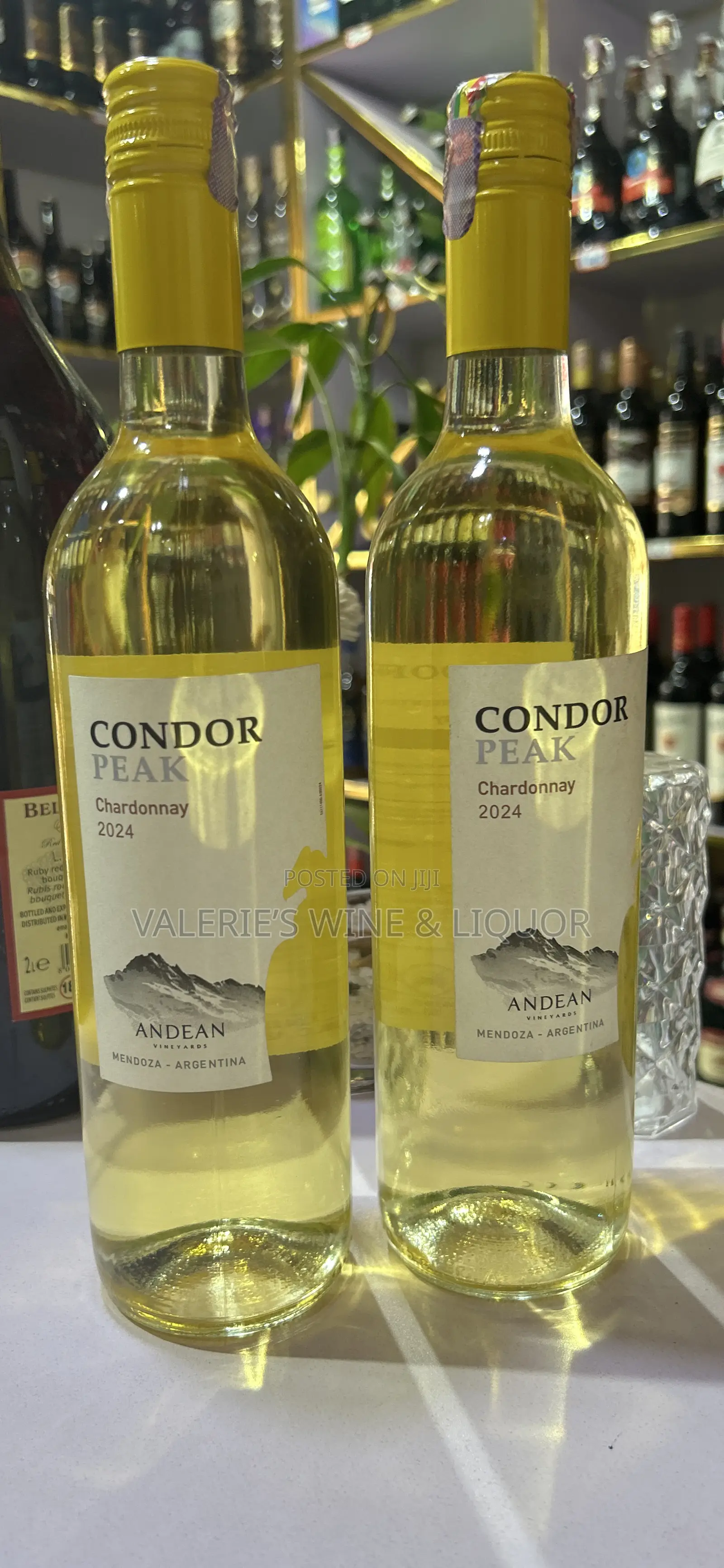 Condor Peak Chardonnay White Wine