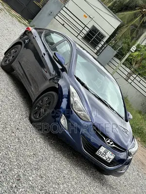 Hyundai Elantra 2013 Blue
