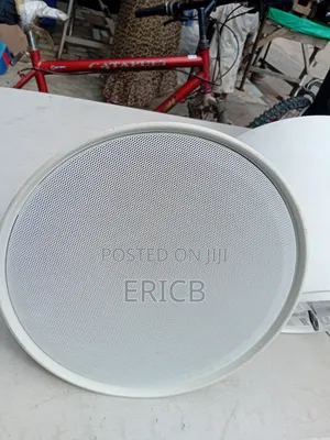 Ceiling Or Hanging Speakers
