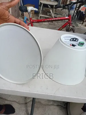 Ceiling Or Hanging Speakers
