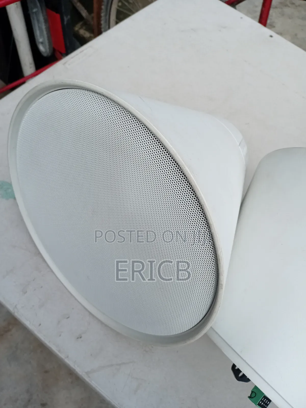 Ceiling Or Hanging Speakers