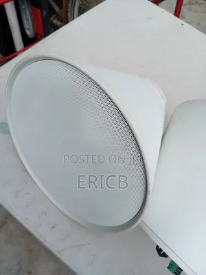 Ceiling Or Hanging Speakers