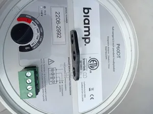Ceiling Or Hanging Speakers