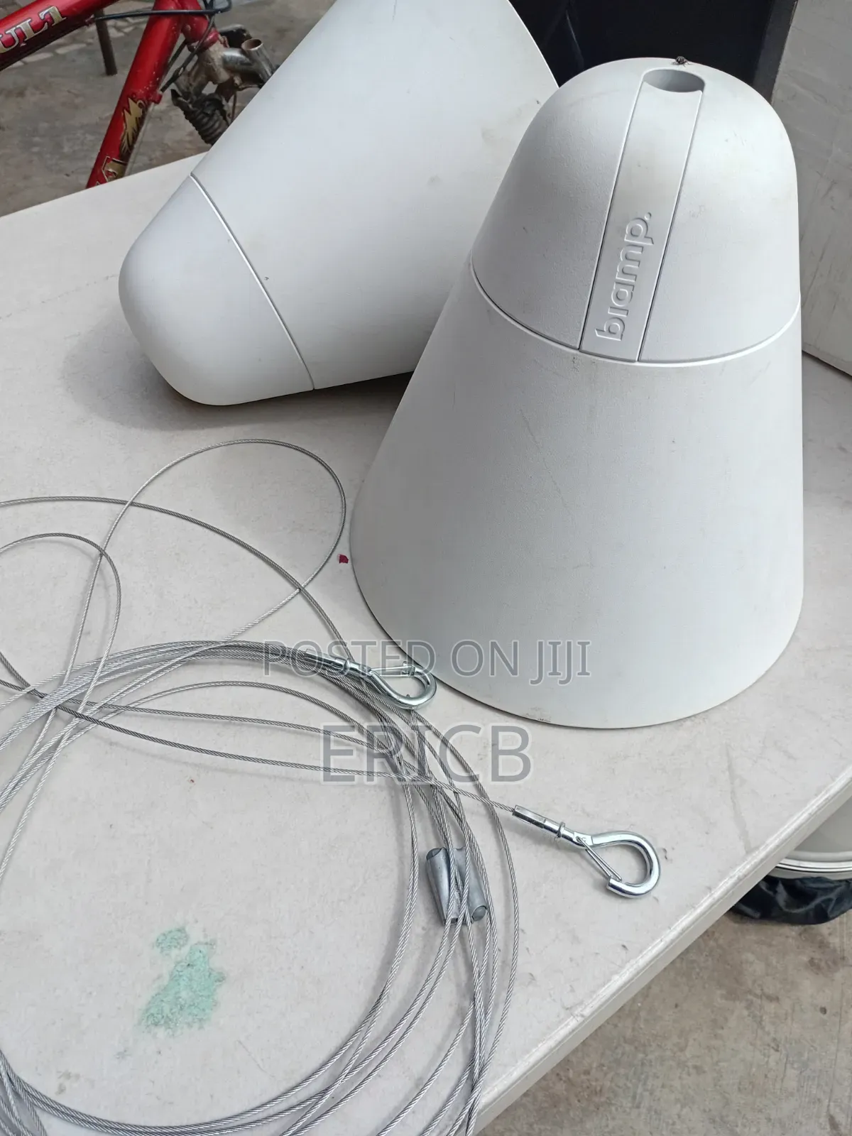 Ceiling Or Hanging Speakers