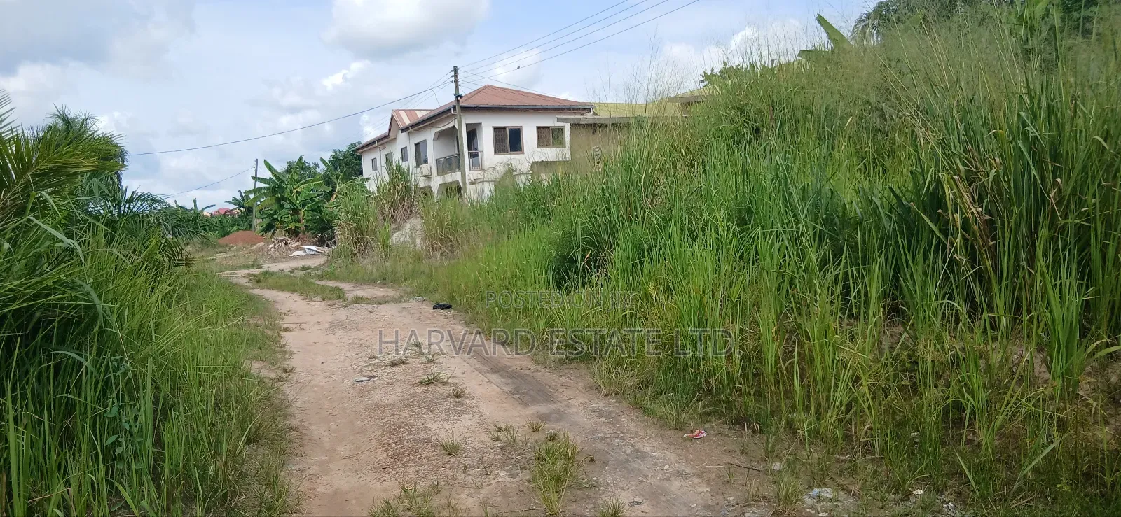 Double Plot of Land, Emena Knust Campus