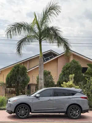 Acura RDX SH-AWD w/A-Spec Package 2025 Gray