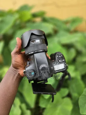 Sony Camera