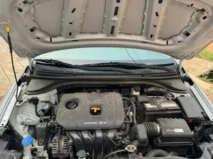 Hyundai Elantra 2017 Silver
